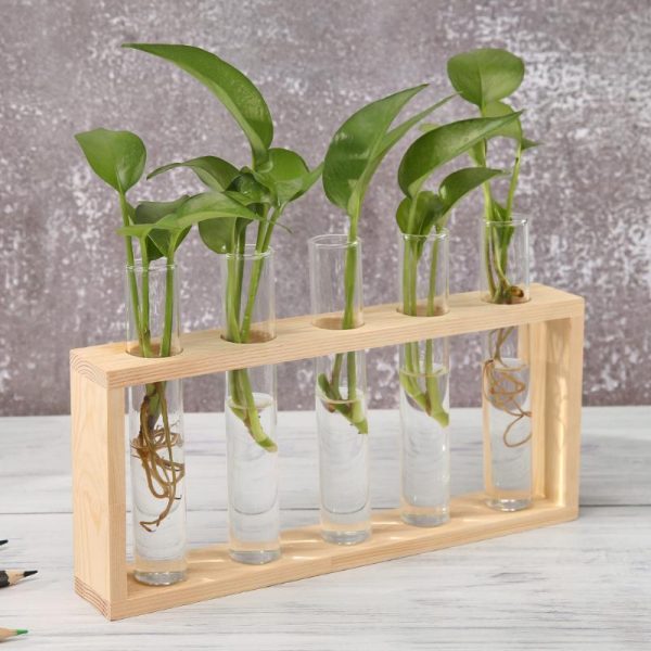 Transparent Glass Vase Wood Frame